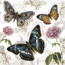 Serviette butterflies on retro background